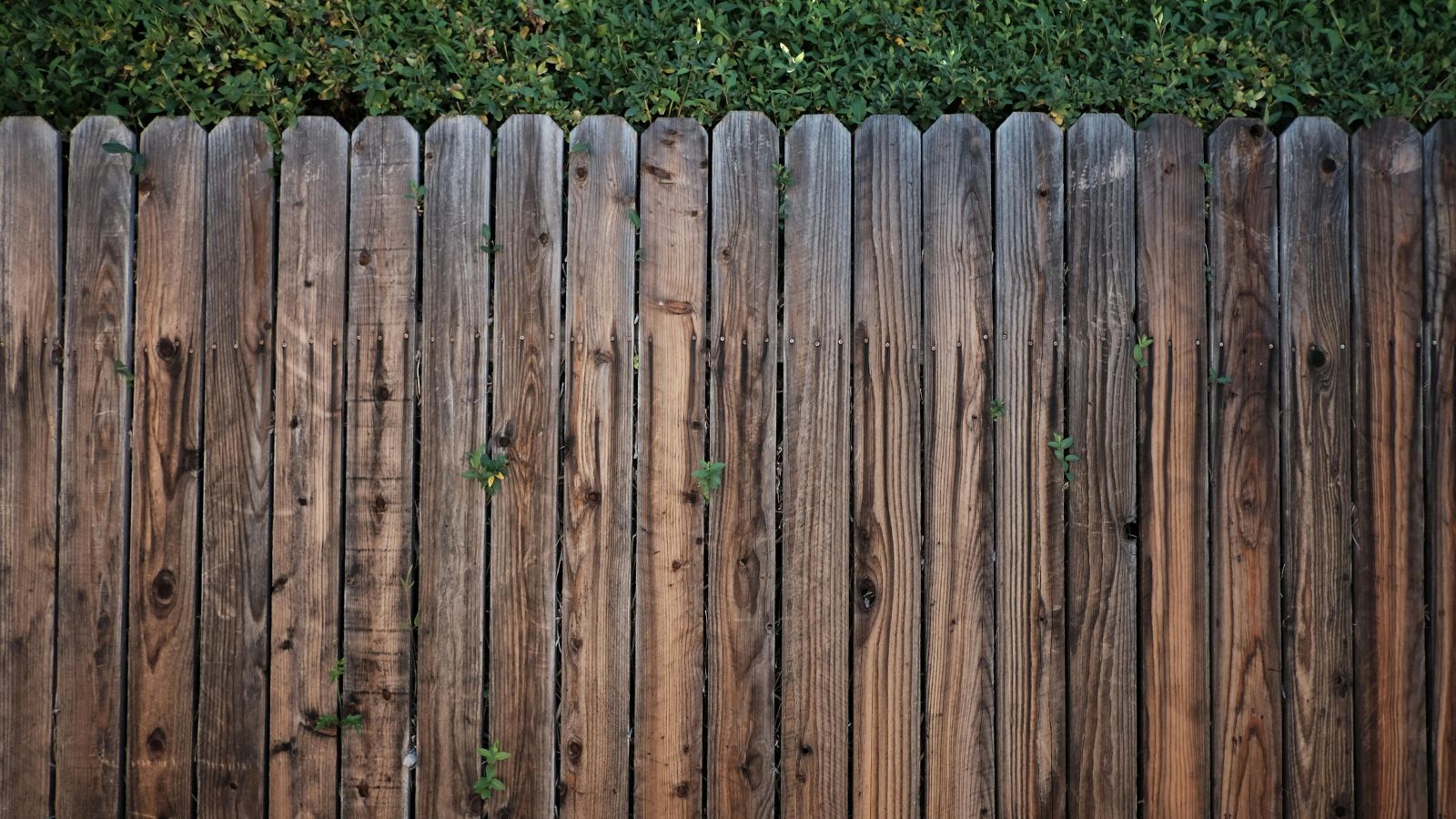 Fence removal sacramento