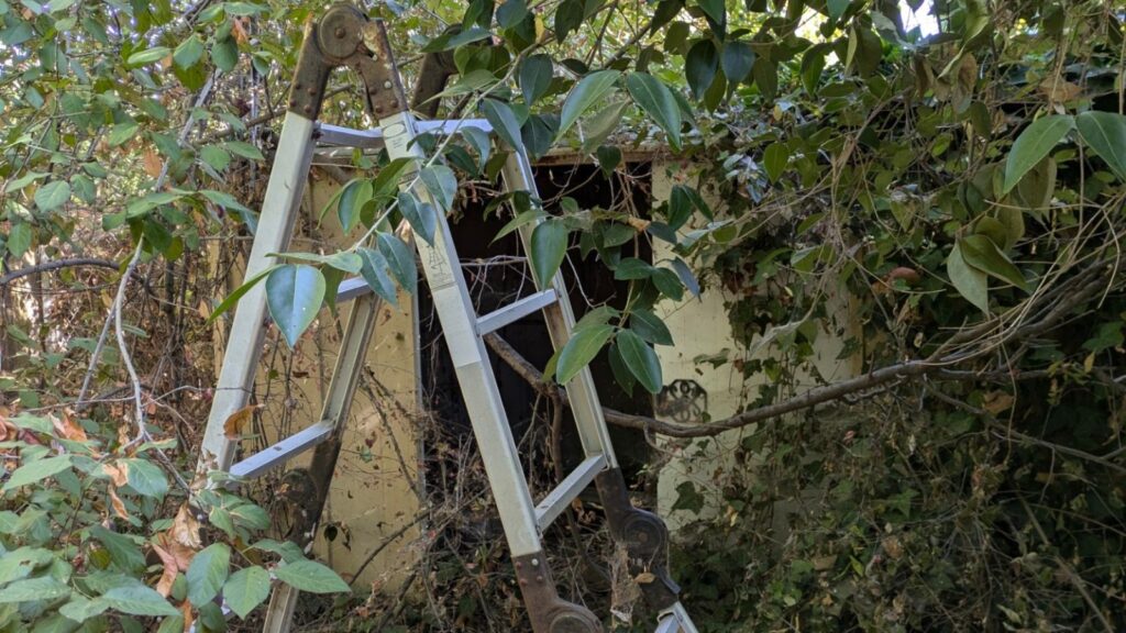 Shed Demolition Services in Sacramento