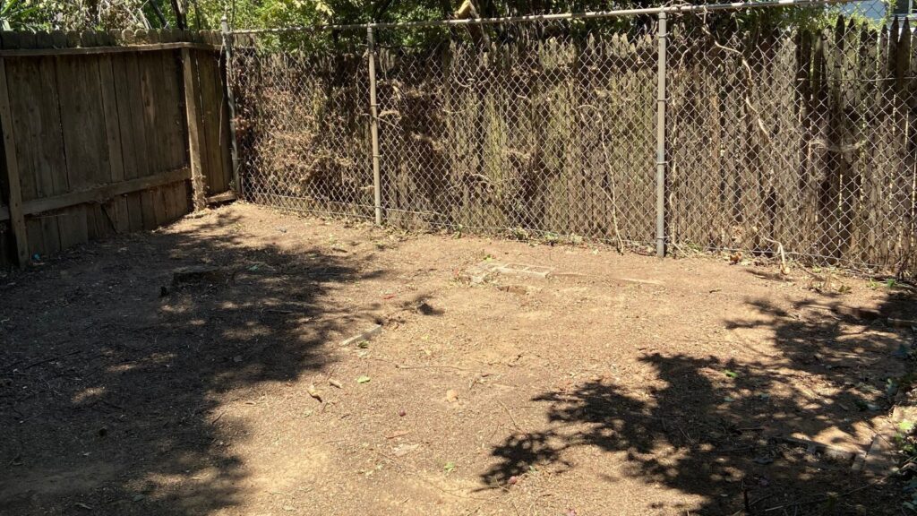 Shed Demolition Services in Sacramento