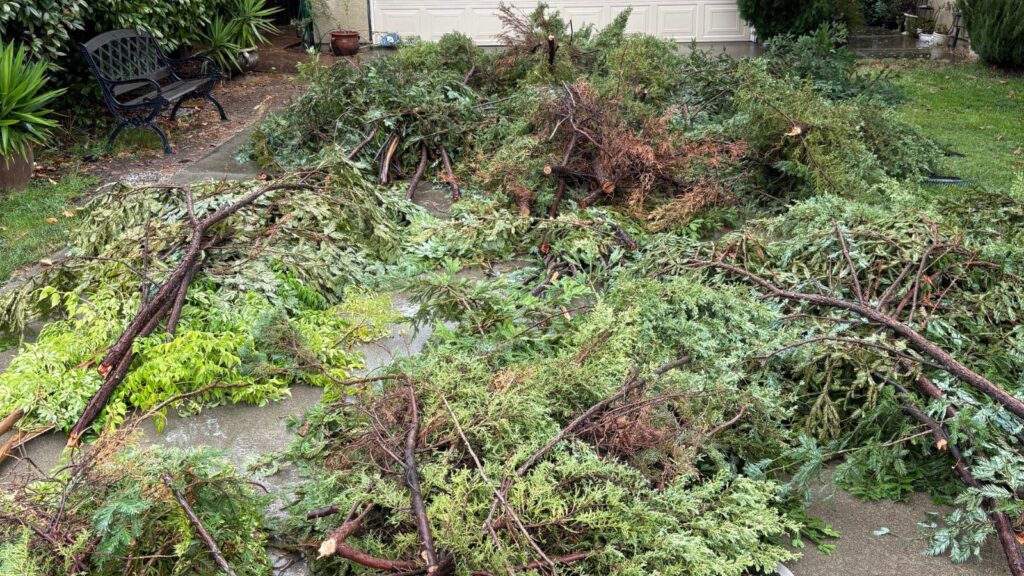 storm debris cleanup debris Sacramento