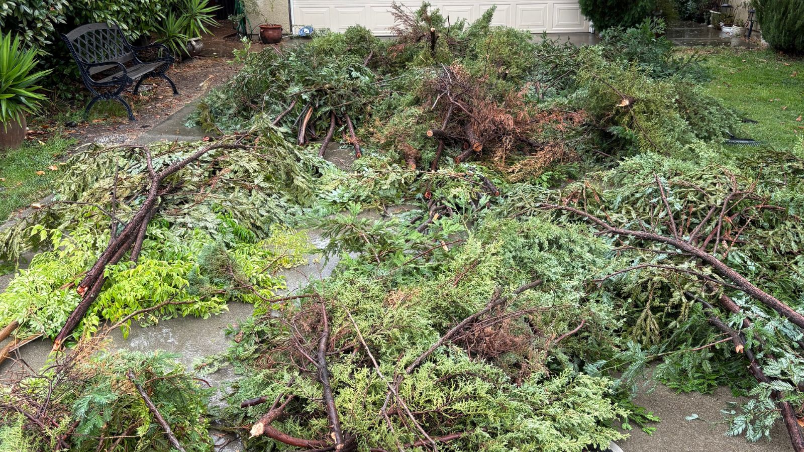 storm debris cleanup debris Sacramento