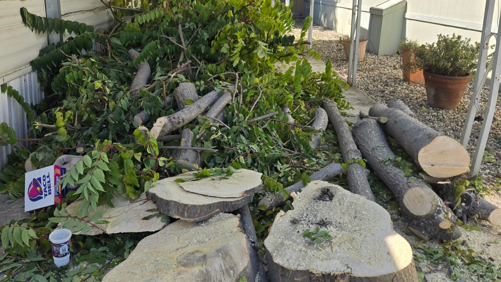 green waste debris removal sacramento