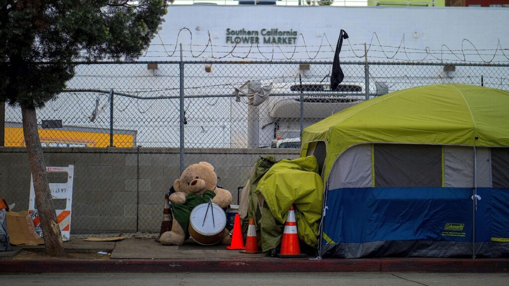 Homeless camp cleanup Sacramento