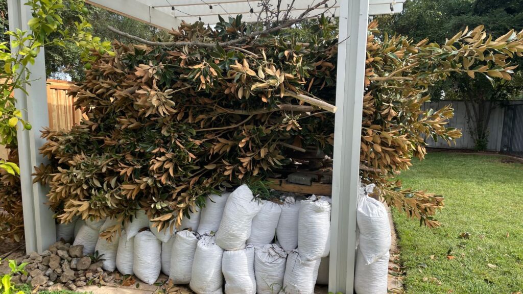 storm debris cleanup sacramento